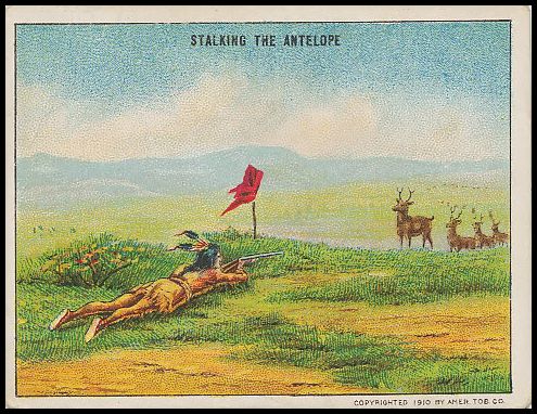 Stalking the Antelope